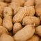 Ask the Medical Expert: Food Allergies