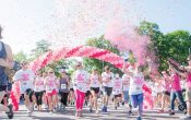 Give Birmingham: Breast Cancer Research Foundation of Alabama